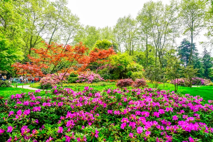 Bougainville Gardens
